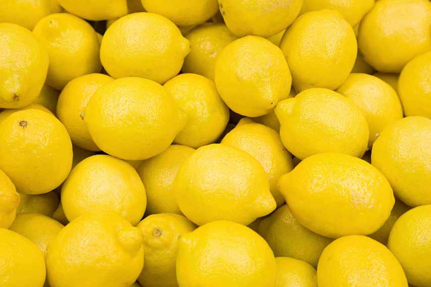 Fresh lemons to be crushed with olives.
